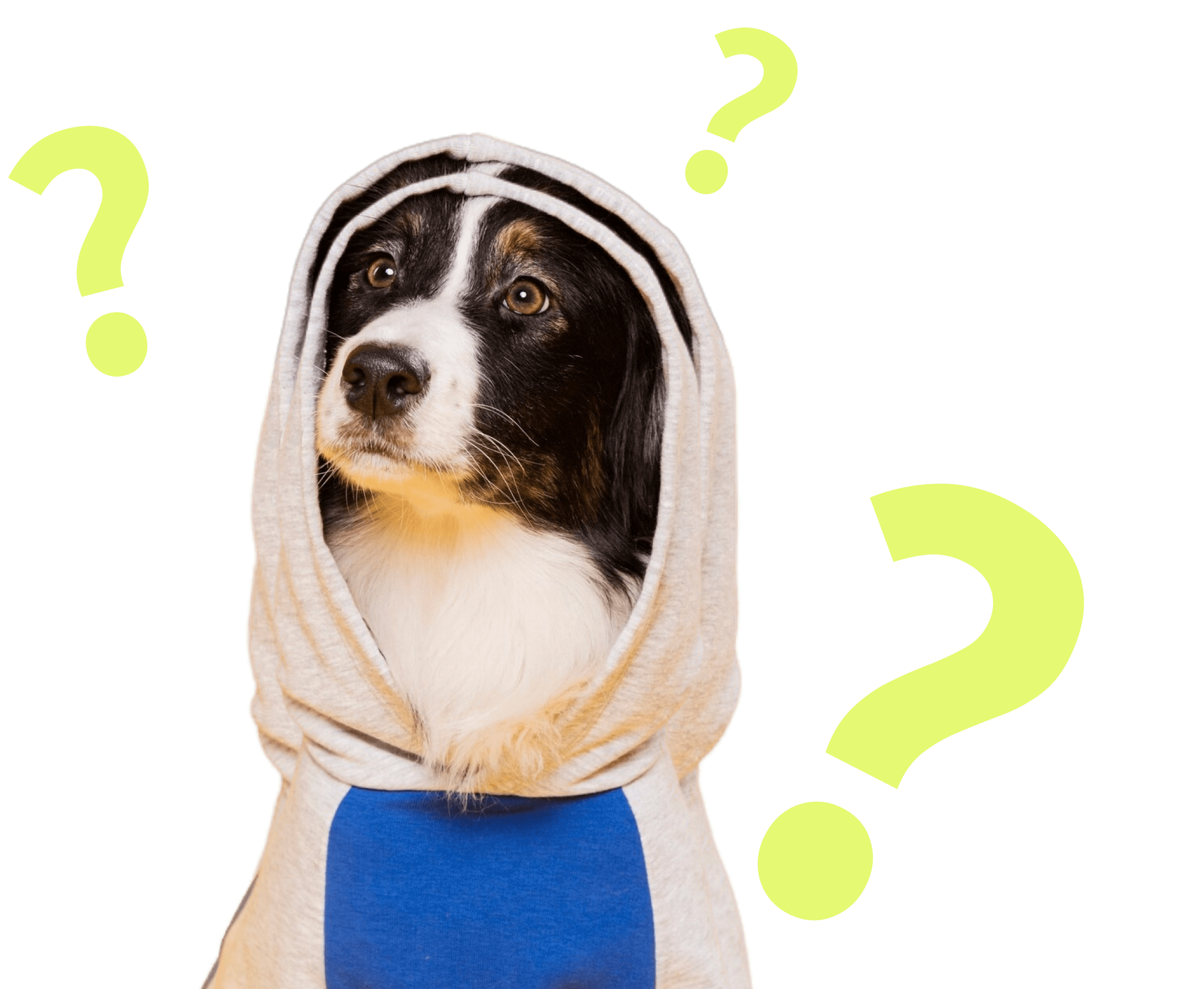Insurance FAQ